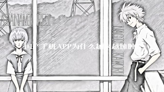 国产手机APP为什么越来越臃肿？