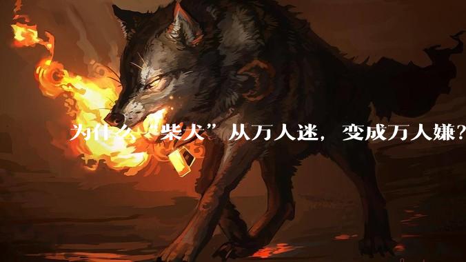 为什么“柴犬”从万人迷，变成万人嫌？