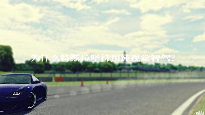 为什么特斯拉坚持用纯视觉智驾？