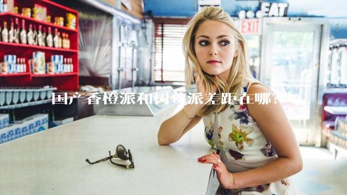 国产香橙派和树莓派差距在哪？