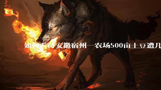 如何看待安徽宿州一农场500亩土豆遭几百名村民哄抢，曝光后民警要求种植户删帖？法不责众？如何有效维权？