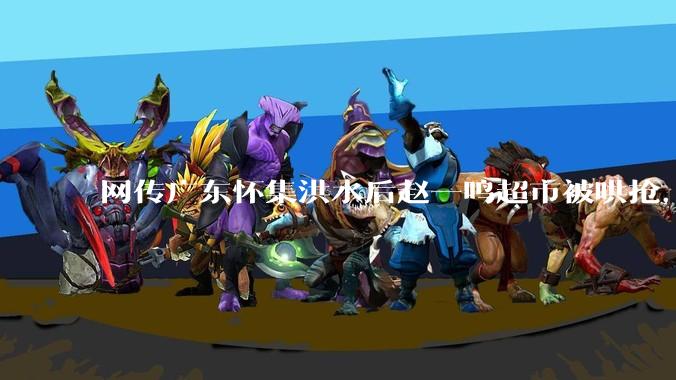 网传广东怀集洪水后赵一鸣超市被哄抢，县***回应相关单位正在核实，若属实哄抢者该承担哪些法律责任？