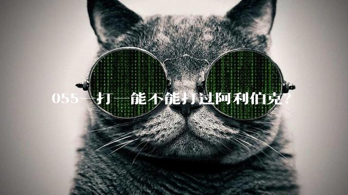 055一打一能不能打过阿利伯克？