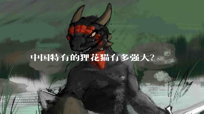 中国特有的狸花猫有多强大？