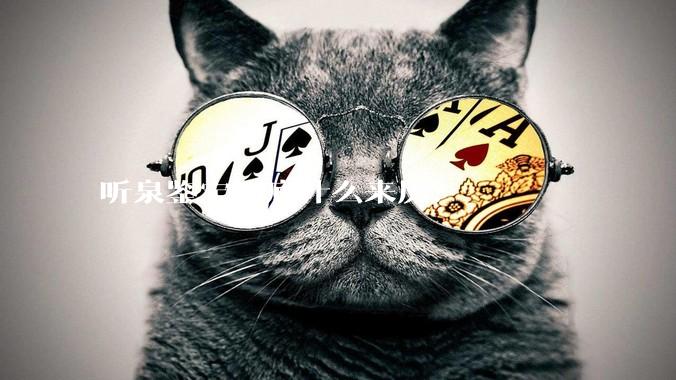 听泉鉴宝到底什么来历？